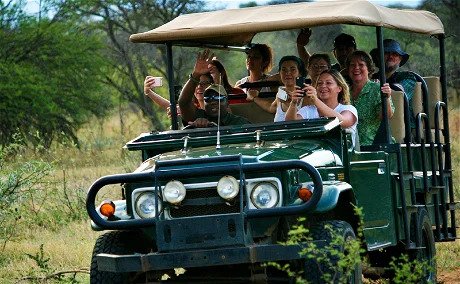 Guided Game Drives